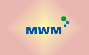 ✓ MWM 0401 2775 Запчасть MWM 